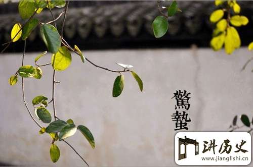 惊蛰为什么要吃梨?惊蛰是什么意思