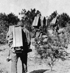 1938.人ս.ʵĹӱоս.