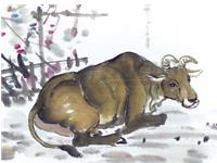 Фţ20175˼ʹϵ